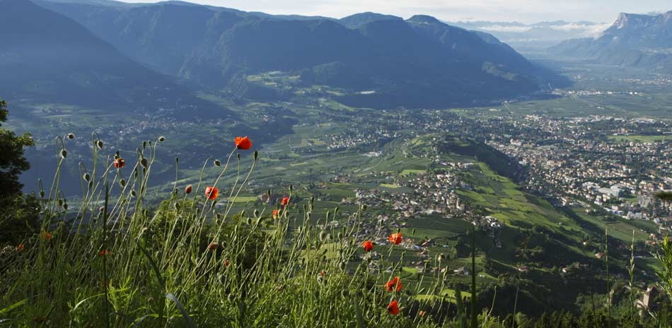 Ausblick Tirol Meran