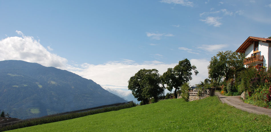 Appartments Haus Waldfrieden | Dorf Tirol