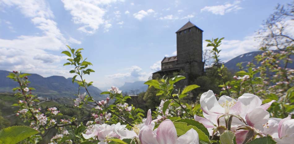 Schloss Tirol im Frühling